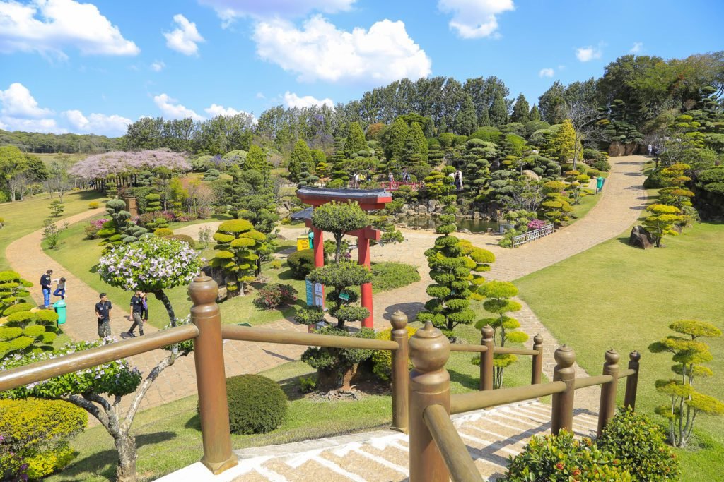 Maeda é opção de lazer para quem quer fugir da folia