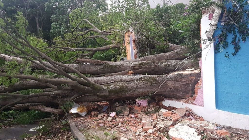 Ventos fortes causam transtornos na cidade