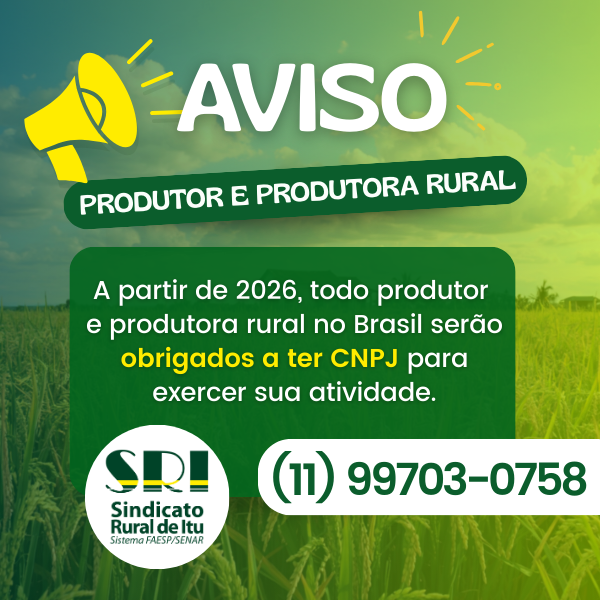 Sindicato Rural - Mobile