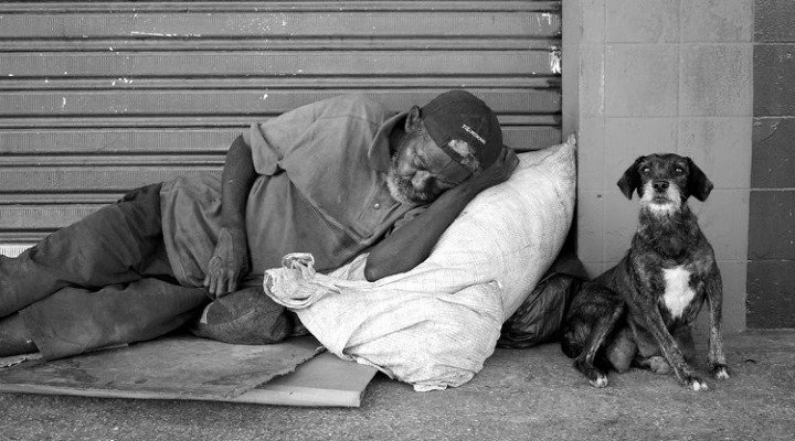 Pessoas em situação de rua e seus animais serão acolhidos na AAI