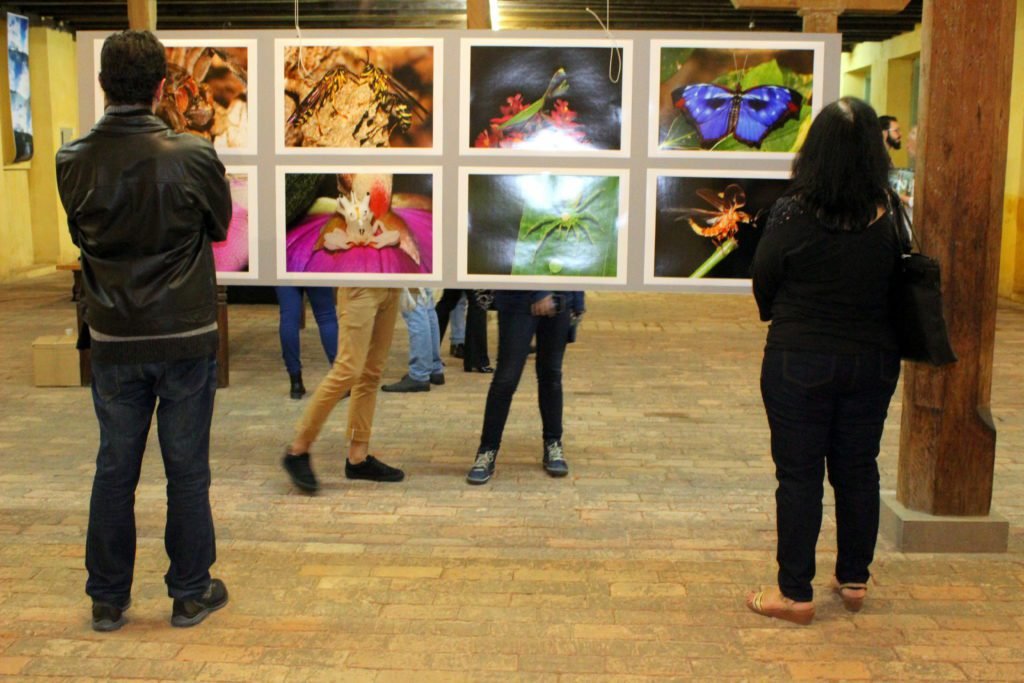 InterFoto 2019 abre inscrições para convocatórias