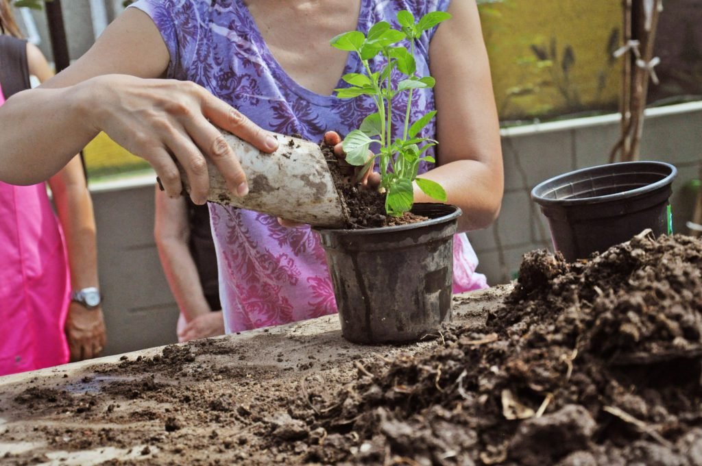 Semana do Meio Ambiente tem oficinas e minicursos gratuitos