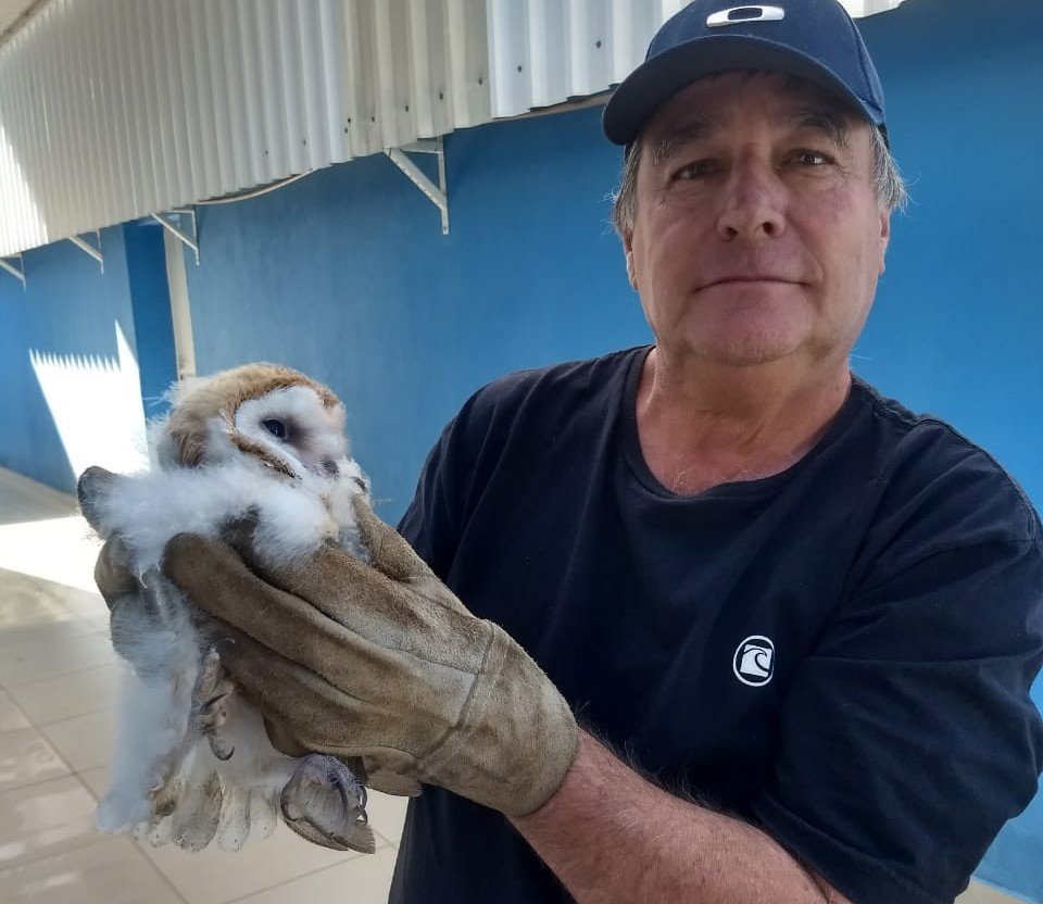 Defesa Civil resgata animais selvagens em Cabreúva