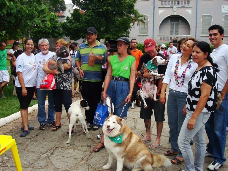 ONG Bichos S/A retoma atividades e busca voluntários pela causa animal