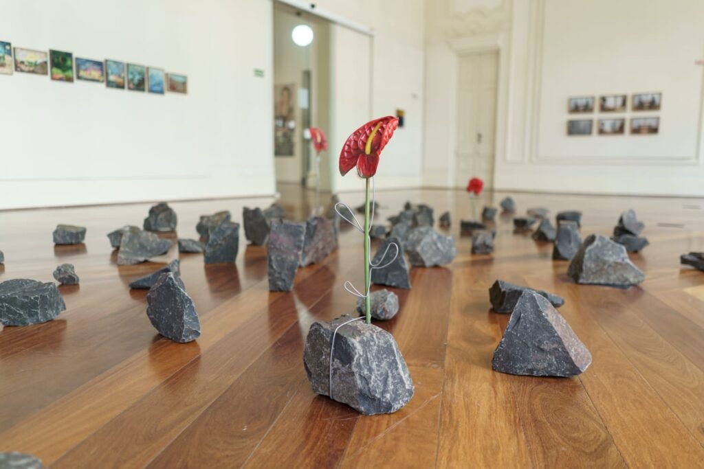 Museu FAMA apresenta a exposição “Lições da Pedra”, de Naira Pennacchi