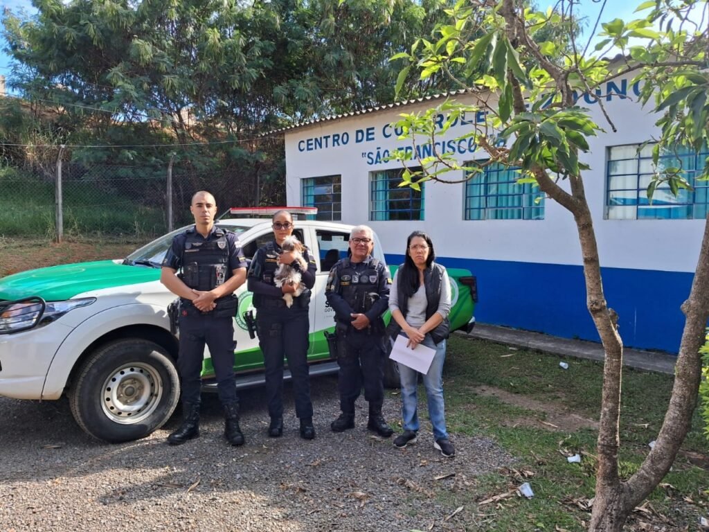 GCM realiza resgate de cachorro que era espancado