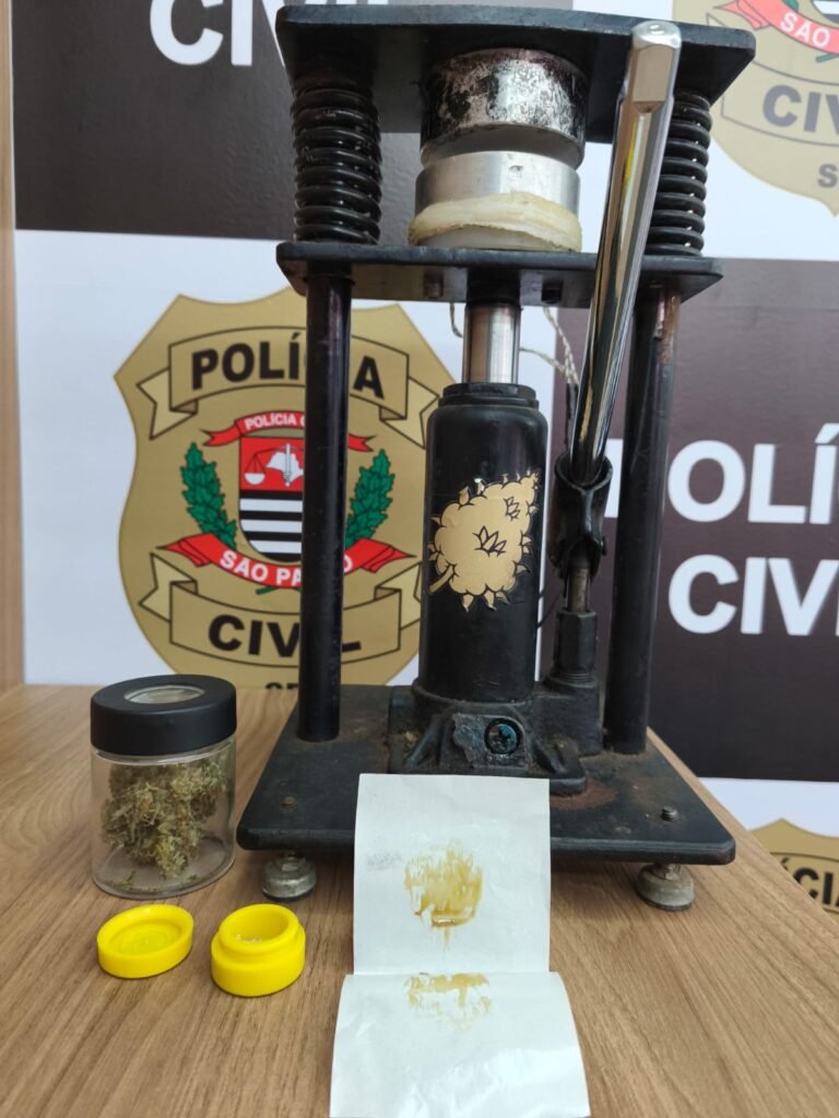 Plantação de maconha em Itu abastecia clientes de alto padrão, diz polícia