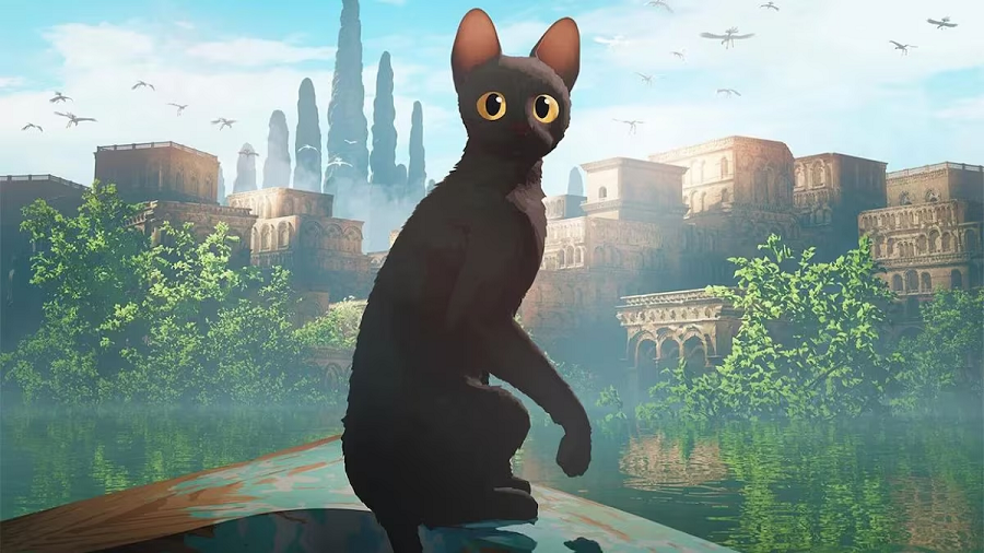 PAPO DE CINEMA: FLOW, OSCAR E EXPOSIÇÃO NA LETÔNIA