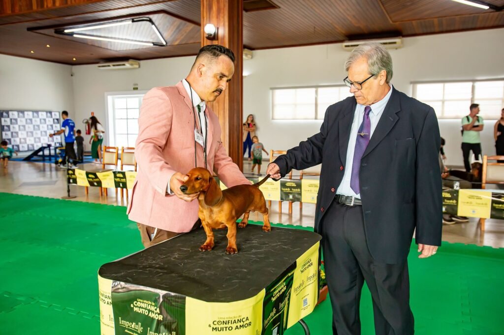 Sorocaba recebe competição internacional de cães