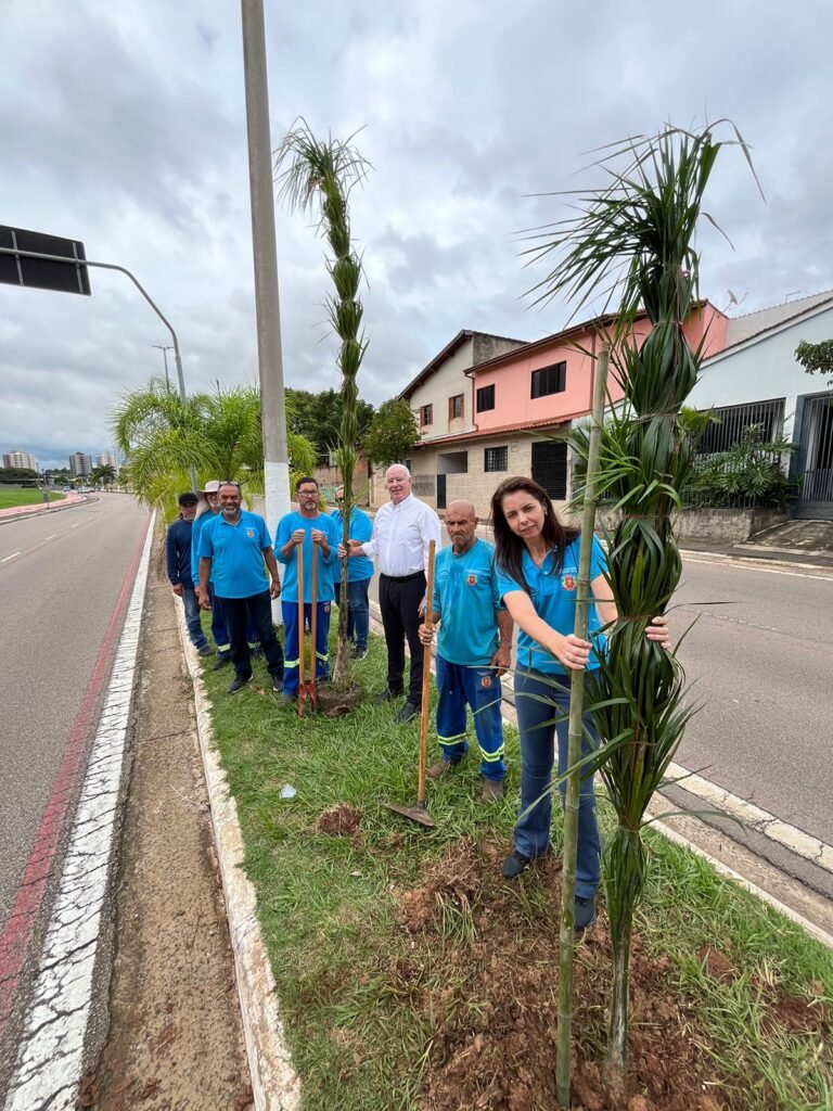 Prefeitura planta mais de mil mudas de árvores nativas em 2025