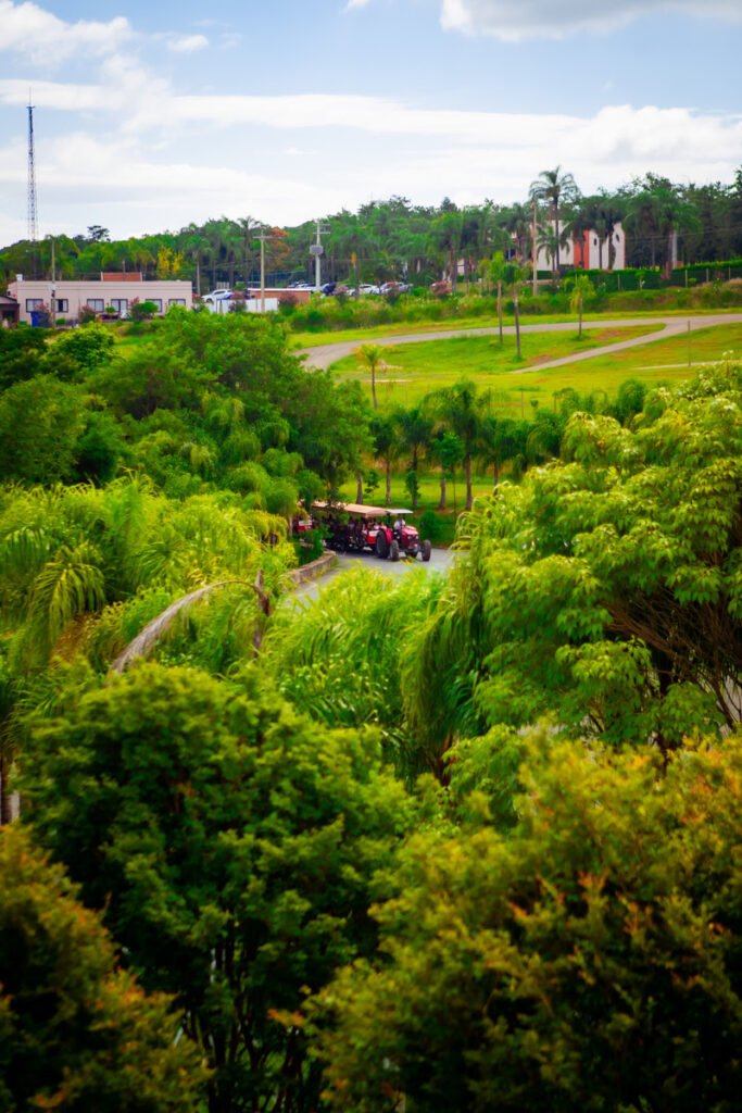 Parque Maeda será sede do Sou + Agro