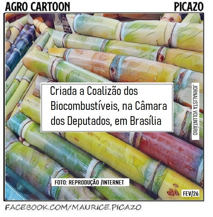 AgroNotícias, por Mauricio Picazo Galhardo