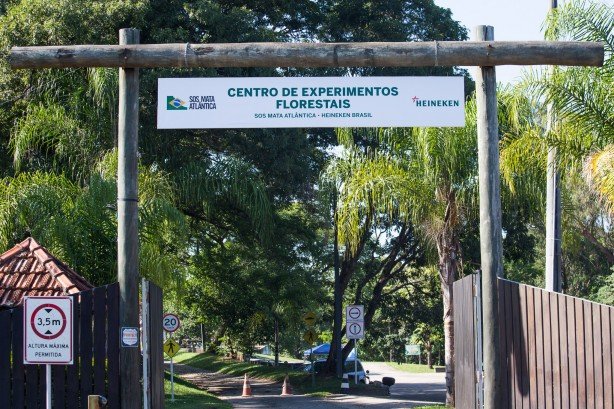 Fundação SOS Mata Atlântica realiza observação de aves