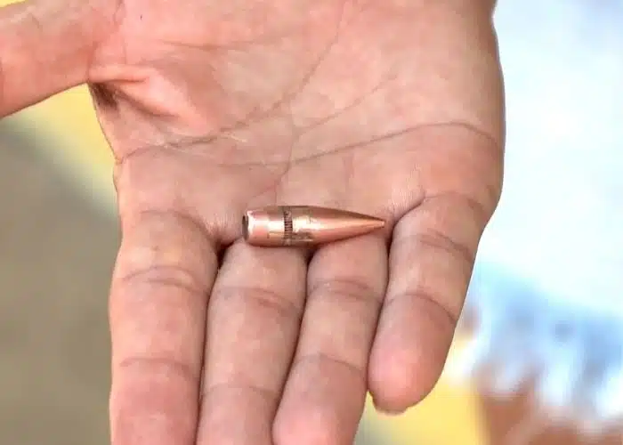 Durante treinamento em clube de tiros, Exército atinge casas