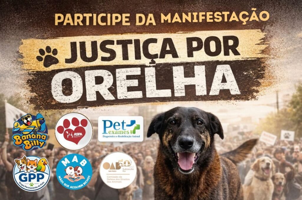 Justiça por Orelha: manifestação contra maus-tratos a animais acontece em Itu