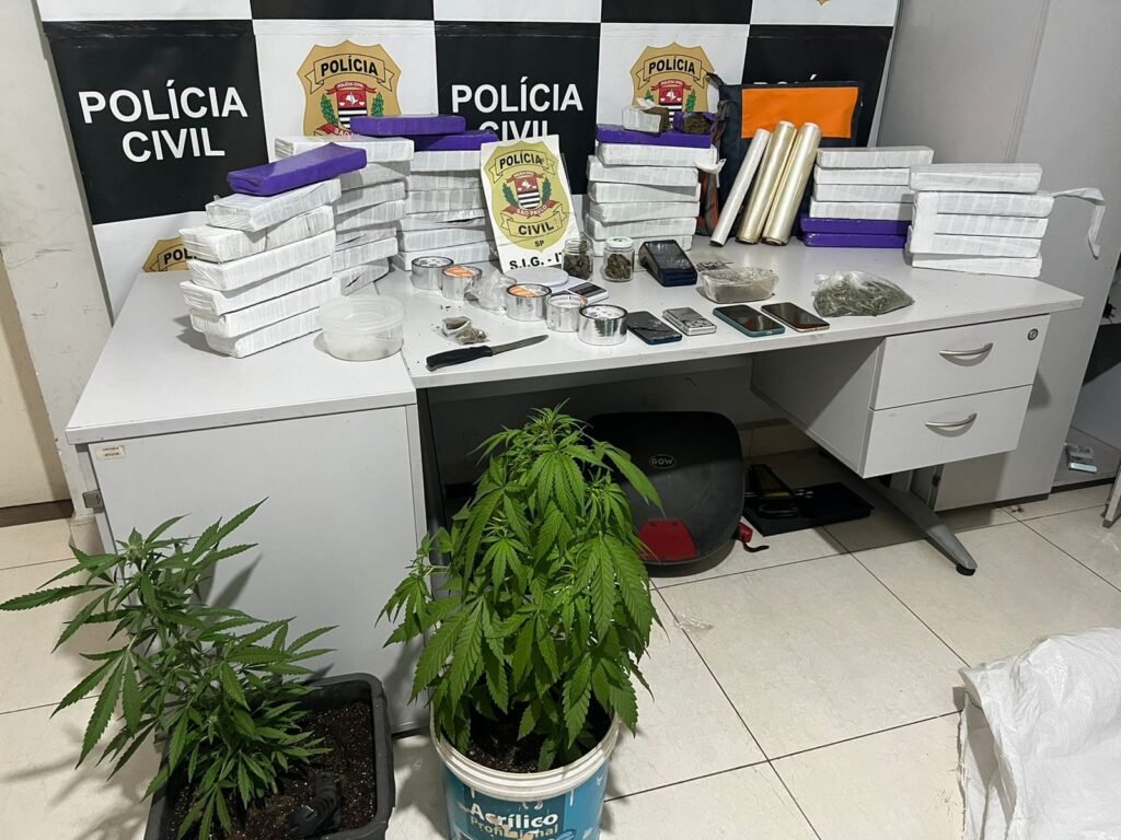 Polícia Civil de Itu apreende tijolos e pés de maconha