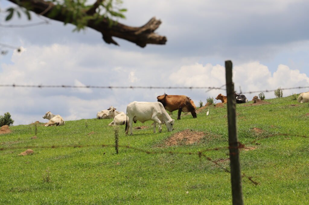 Prazo para produtores rurais entregarem declaração está terminando