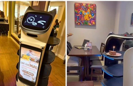 Primeiro Café com Gato do Brasil ganha atendente robô em Sorocaba