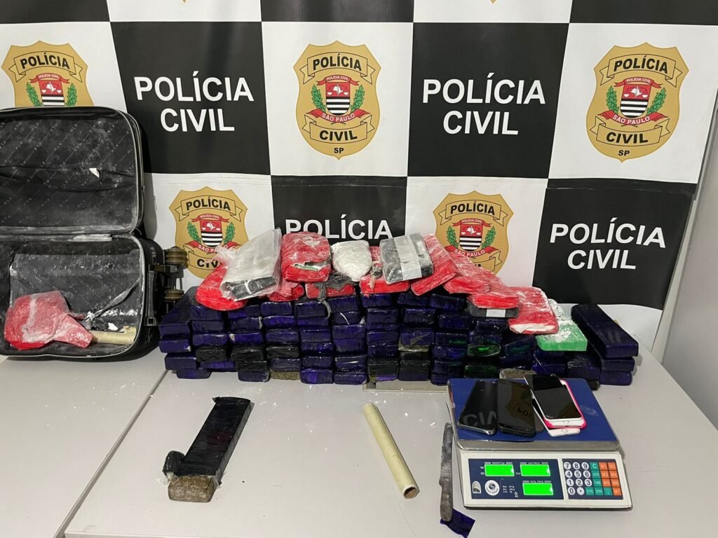 Polícia Civil apreende mais de 80 tijolos de drogas