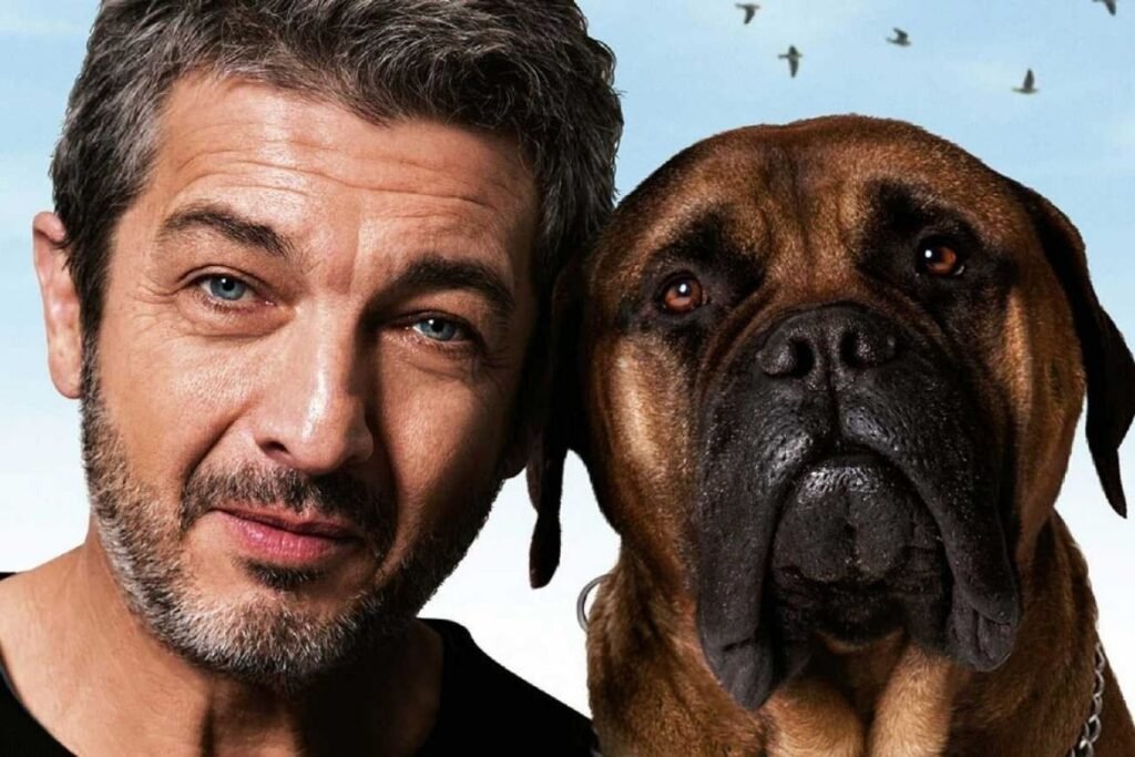 Confira a programação do Pontos MIS para junho