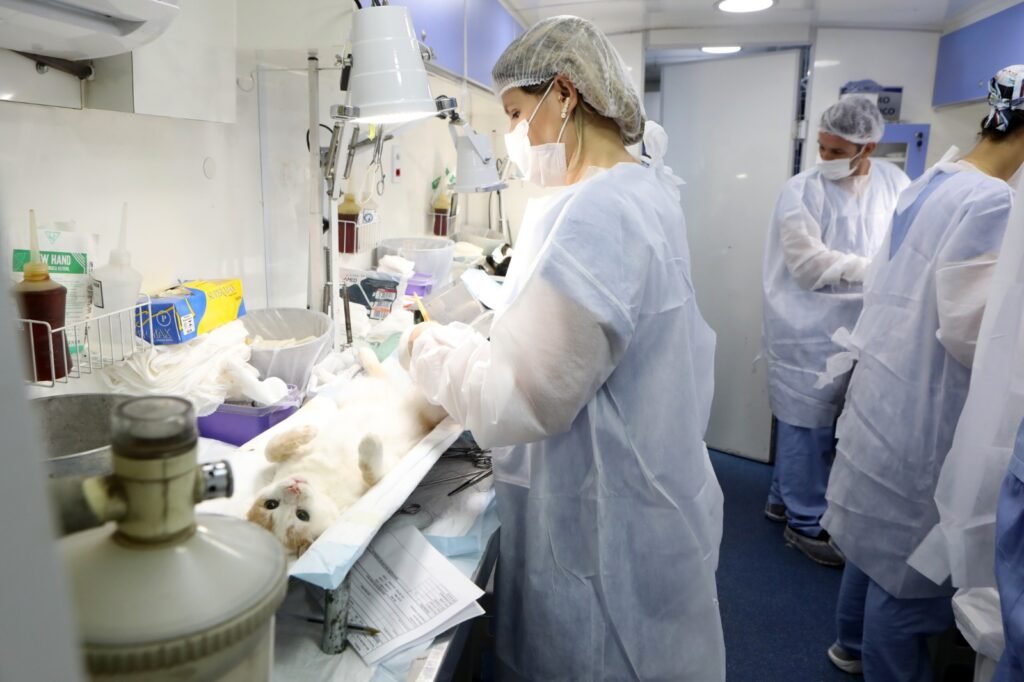Próximo Mutirão de castração de cães e gatos será dia 31