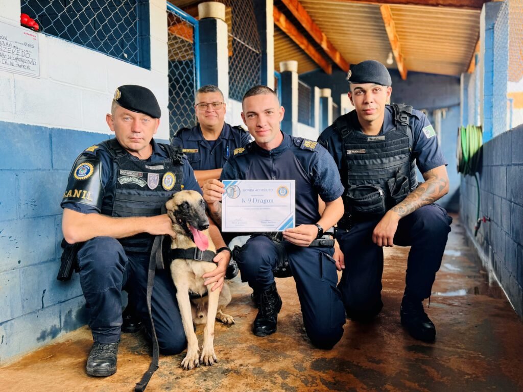 Cão mais premiado da Guarda se aposenta após 9 anos de serviço