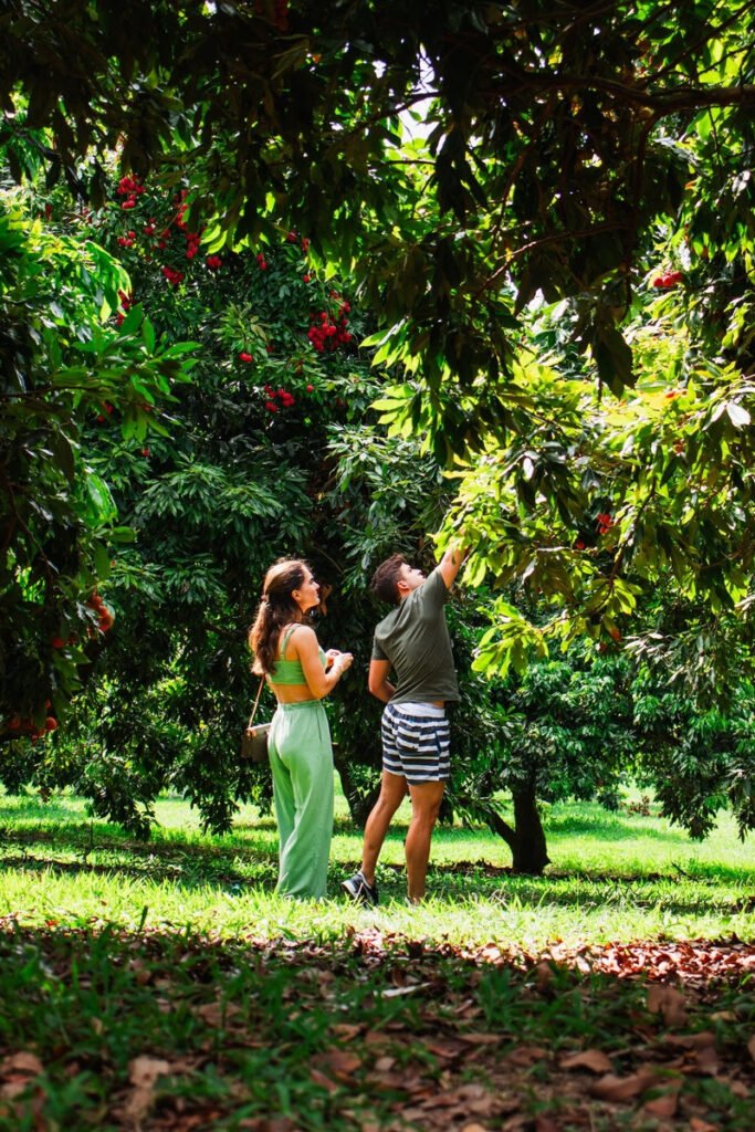 Turismo rural cresce no Brasil e atrai viajantes em busca de natureza e tranquilidade