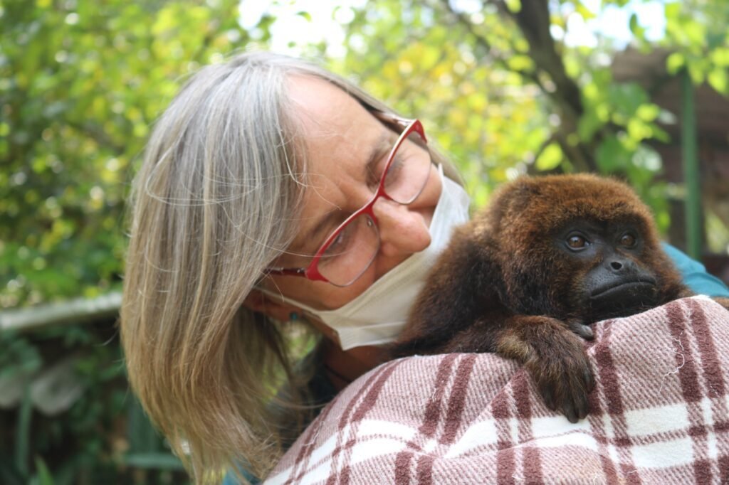 Projeto Mucky vende terreno para manter cuidado com animais