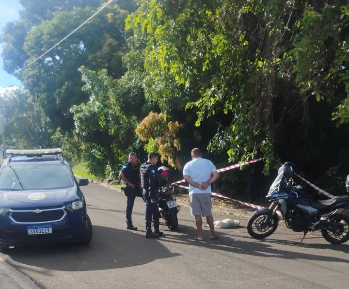 Guarda Municipal mata cachorro após ataque em área pública