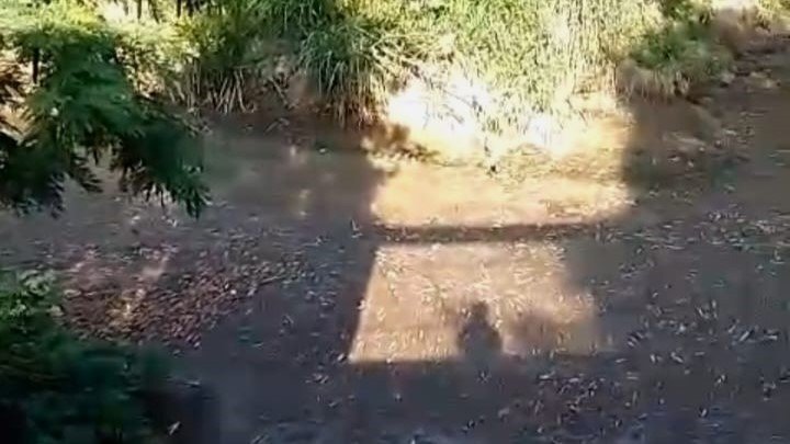 Moradores de chácaras denunciam suposto crime ambiental em córrego Itaim