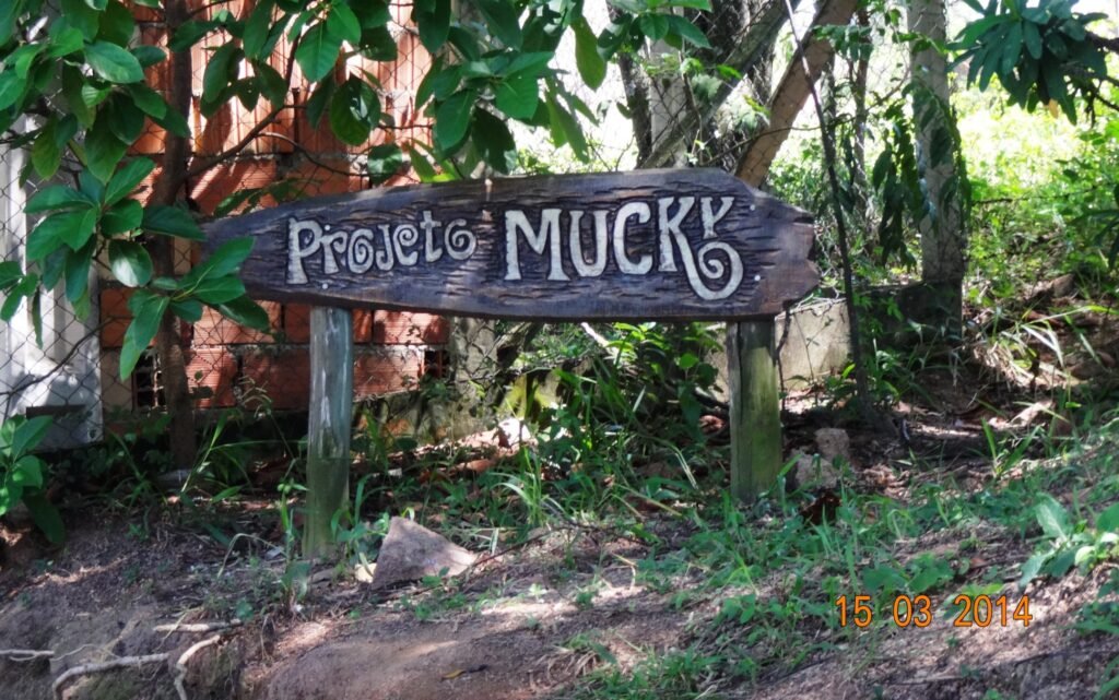 Projeto Mucky tem vagas para cozinheira e auxiliar de cozinha