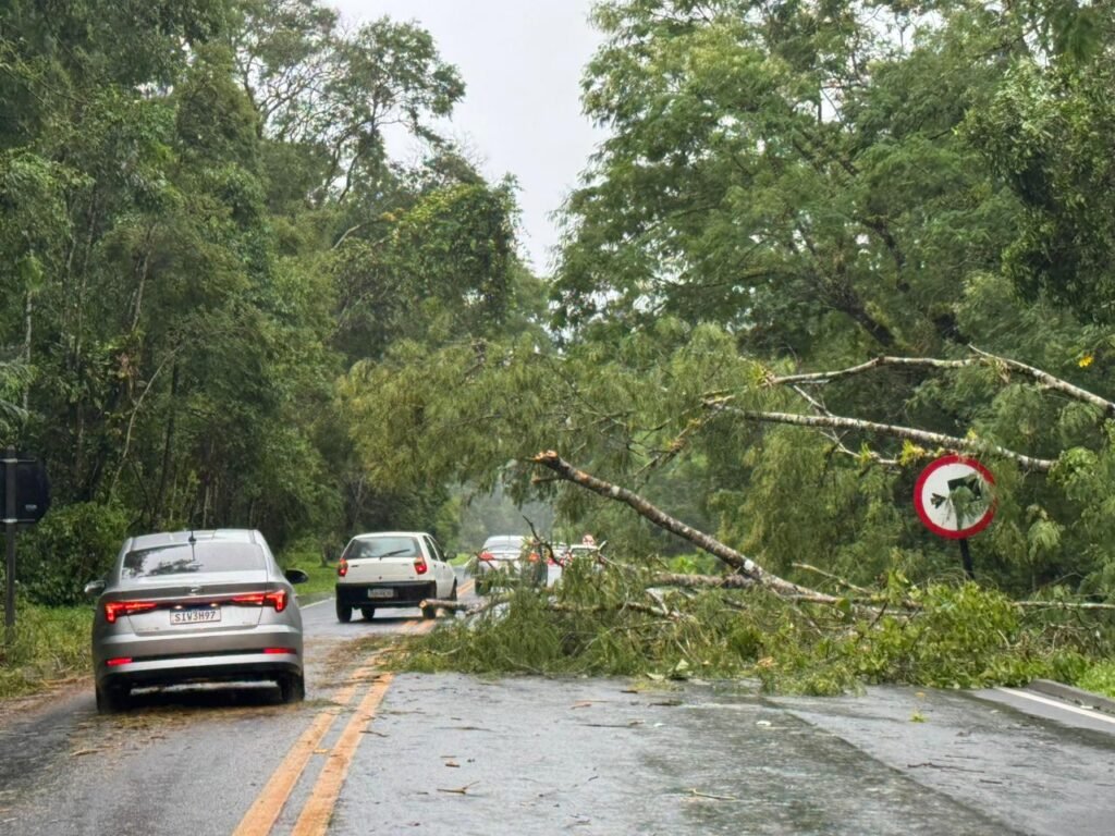 Chuvas interditam Serra Mogi-Bertioga 