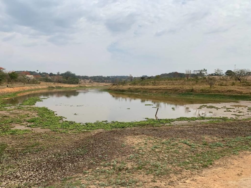 Pauta do Jornal de Itu repercute em veículos regionais e nacionais