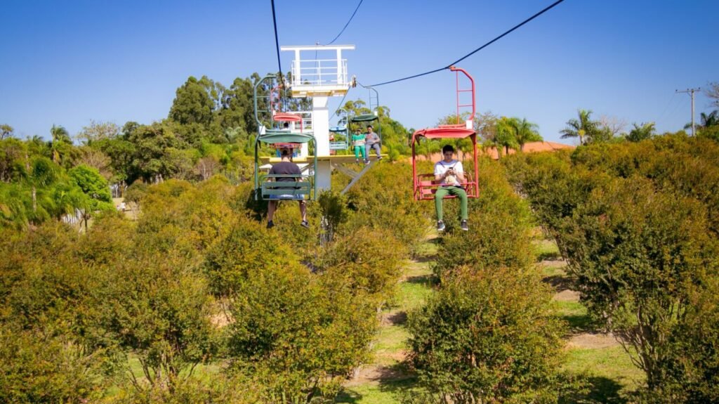 Complexo de lazer com dois teleféricos e árvore gigante é atração em Itu