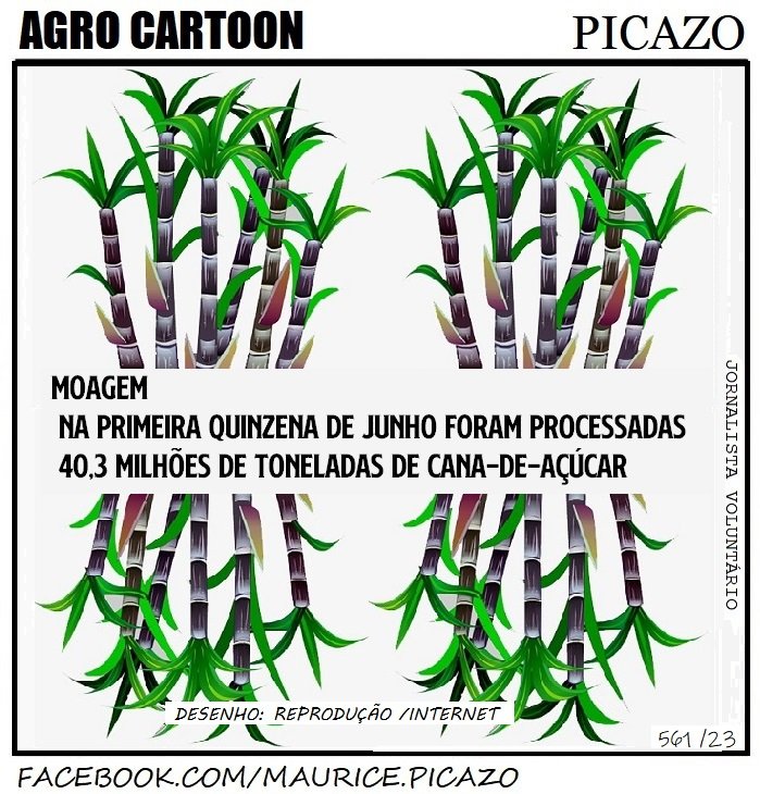 AgroNotícias por Mauricio Picazo Galhardo
