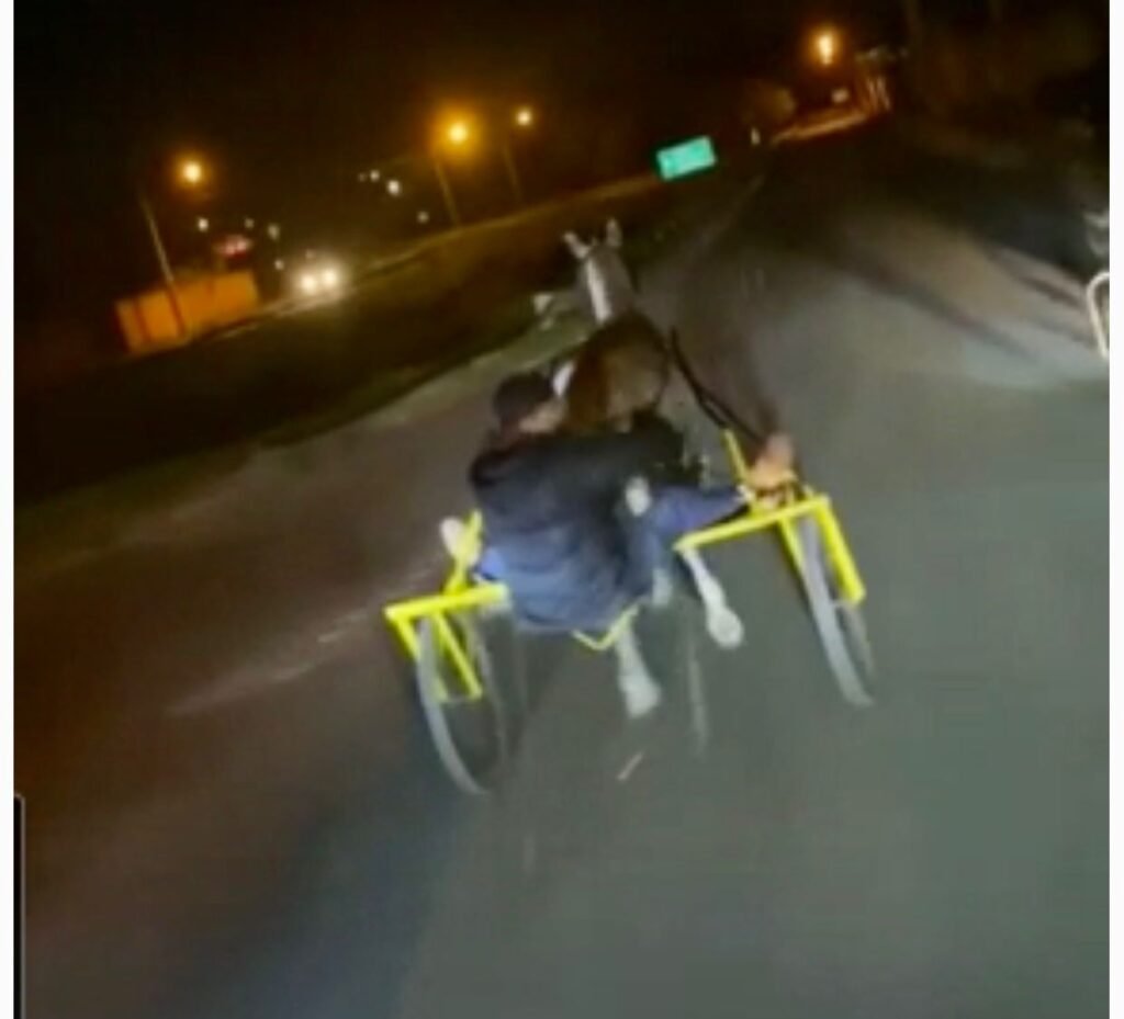 Polícia Civil de São Roque identifica suspeitos de participarem de suposta corrida de carroças