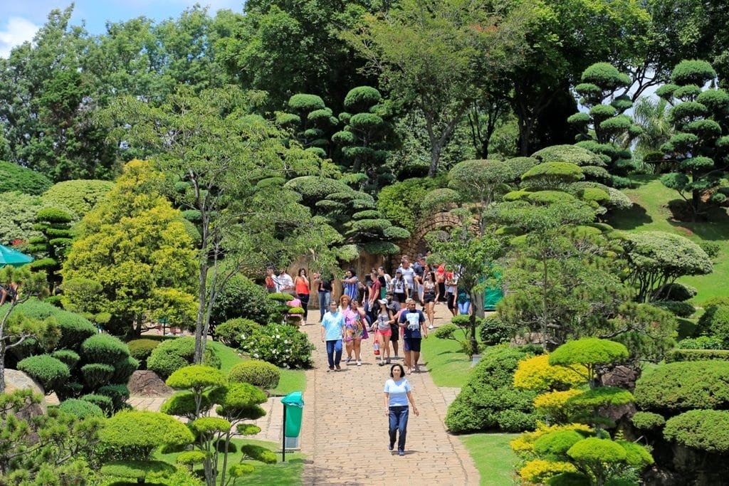 Crianças em férias? Parque Maeda é opção de passeio neste mês de julho