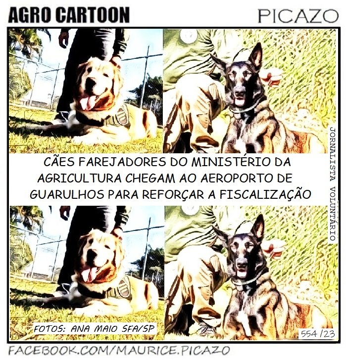 AgroNotícias por Mauricio Picazo Galhardo