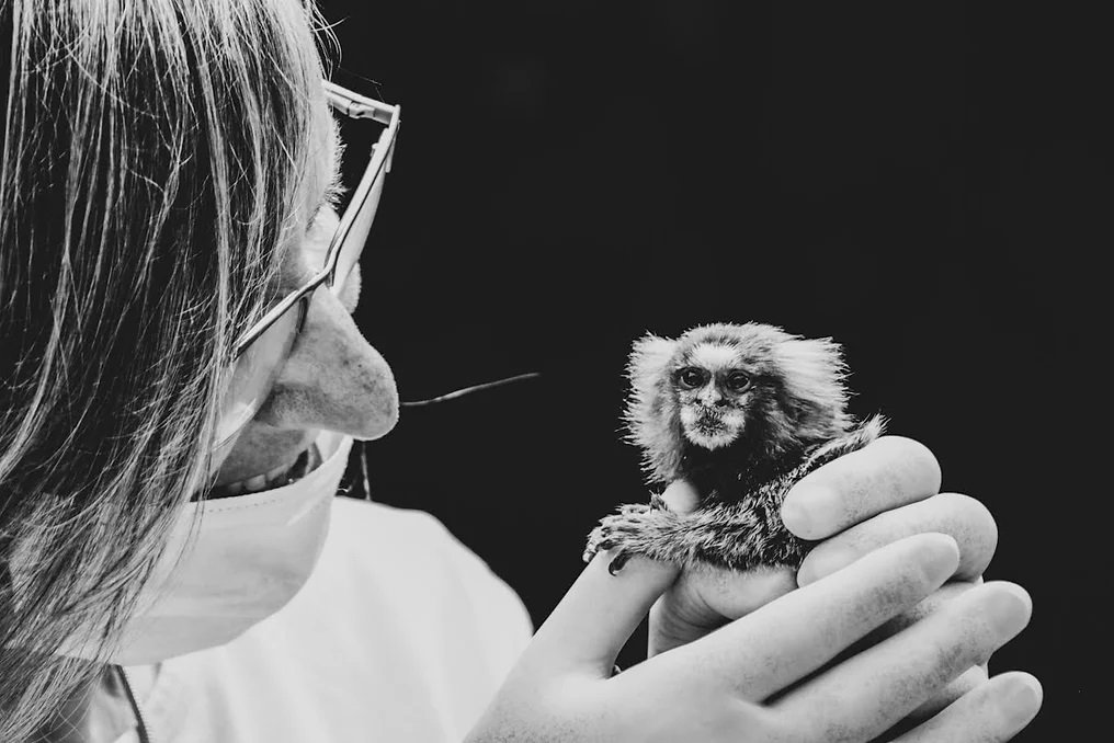 ONG realiza oito horas de imersão na natureza