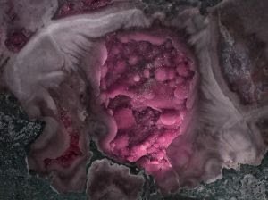 DAN Galeria inaugura novo espaço em Itu com exposição de Denise Milan