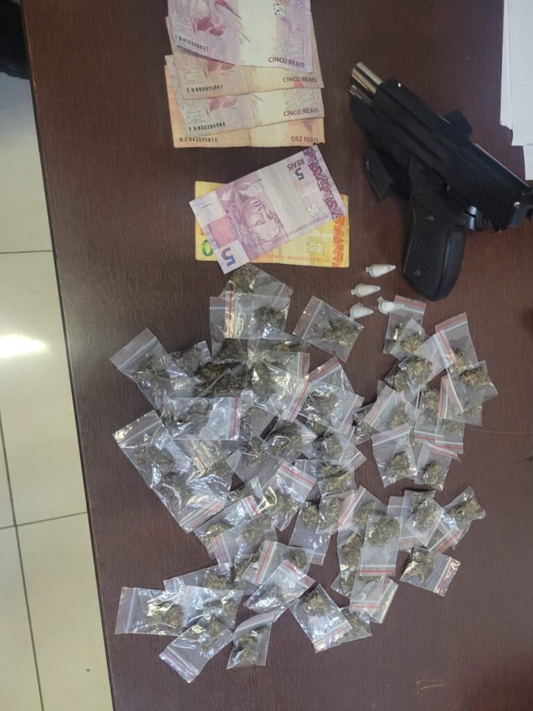 Polícia Civil apreende drogas na Vila Progresso