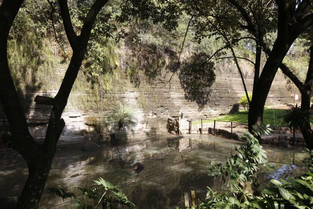 Parque do Varvito tem aula de Yoga neste domingo
