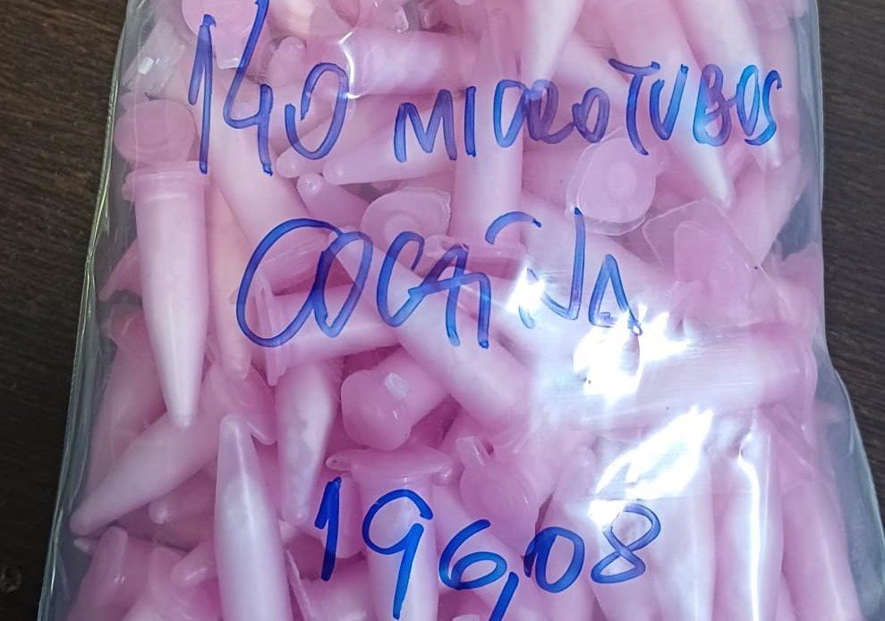 Polícia Militar prende duas pessoas por tráfico