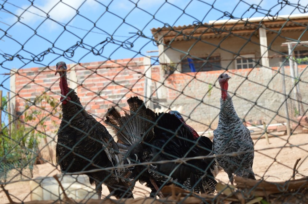  Lixo atômico: comunidade  próxima tem medo, mas pouca opção de moradia