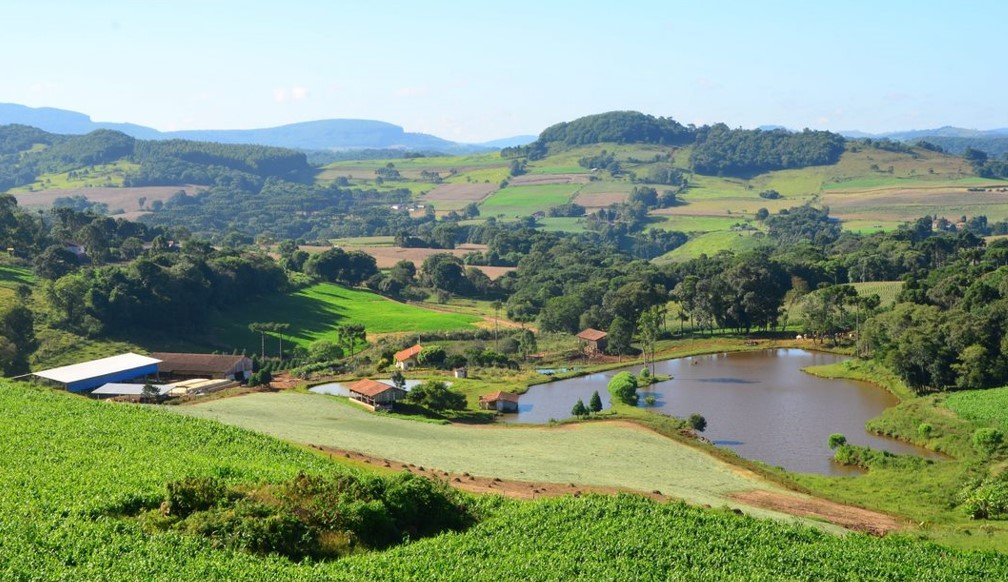 Sicredi neutraliza emissões de carbono relativas a 2021 e 2022