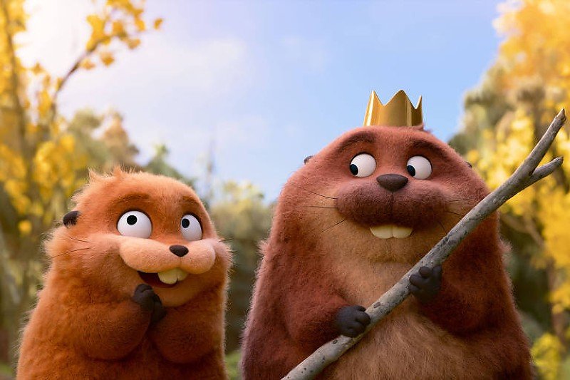 &#8220;Meias Trocadas&#8221; celebra Dia de Down sábado no Plaza