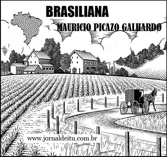 Brasiliana por Mauricio Picazo Galhardo