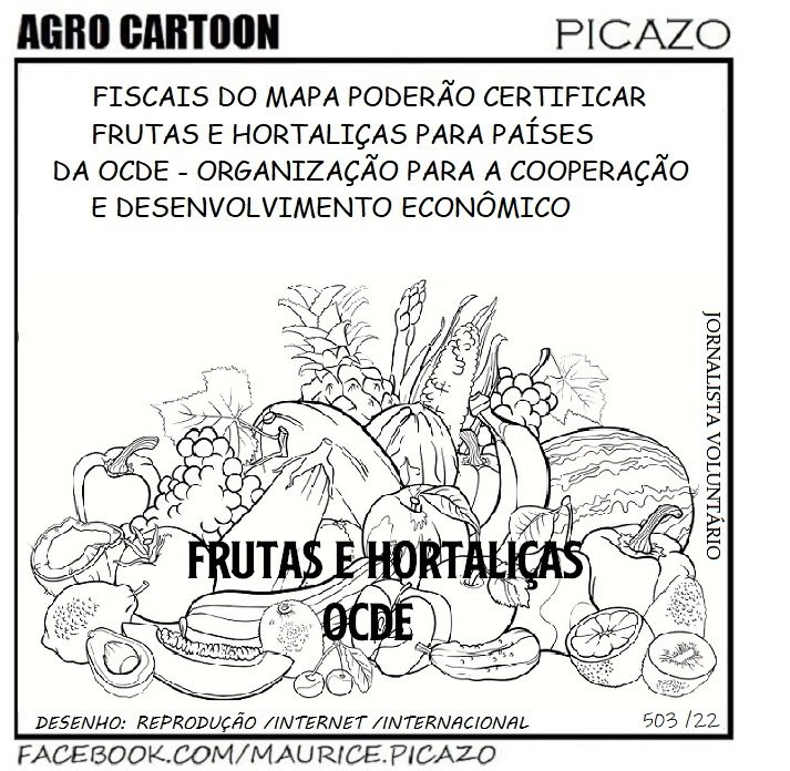 AgroNotícias por Mauricio Picazo Galhardo