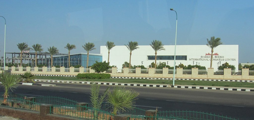 Brasiliana por Mauricio Picazo Galhardo