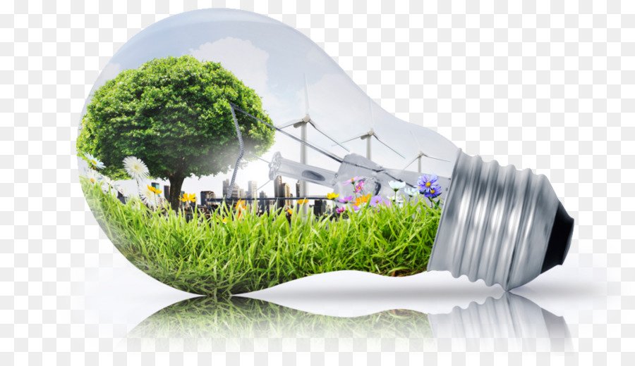 Brasiliana por Mauricio Picazo Galhardo